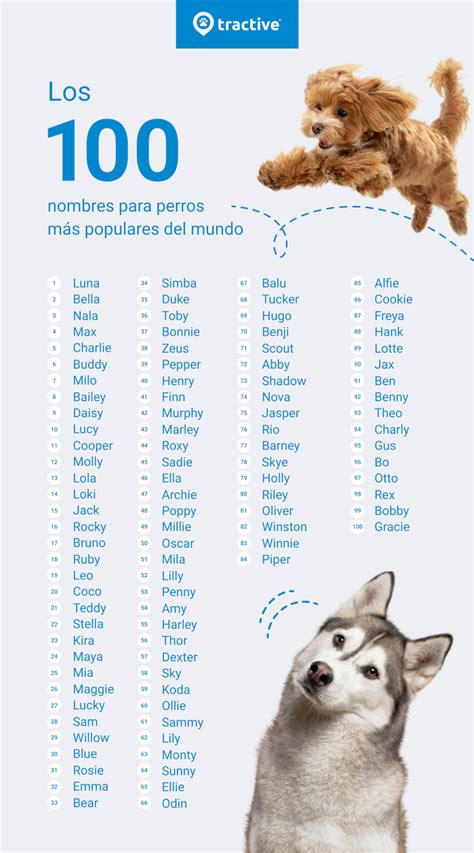 nombres para perros - oto xilodase para que serve